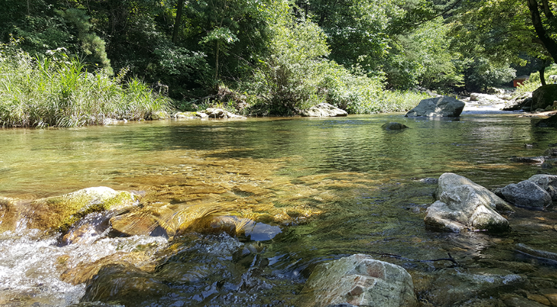 경기-가평-캠프수풀이-캠핑장-계곡-사진-입니다.
