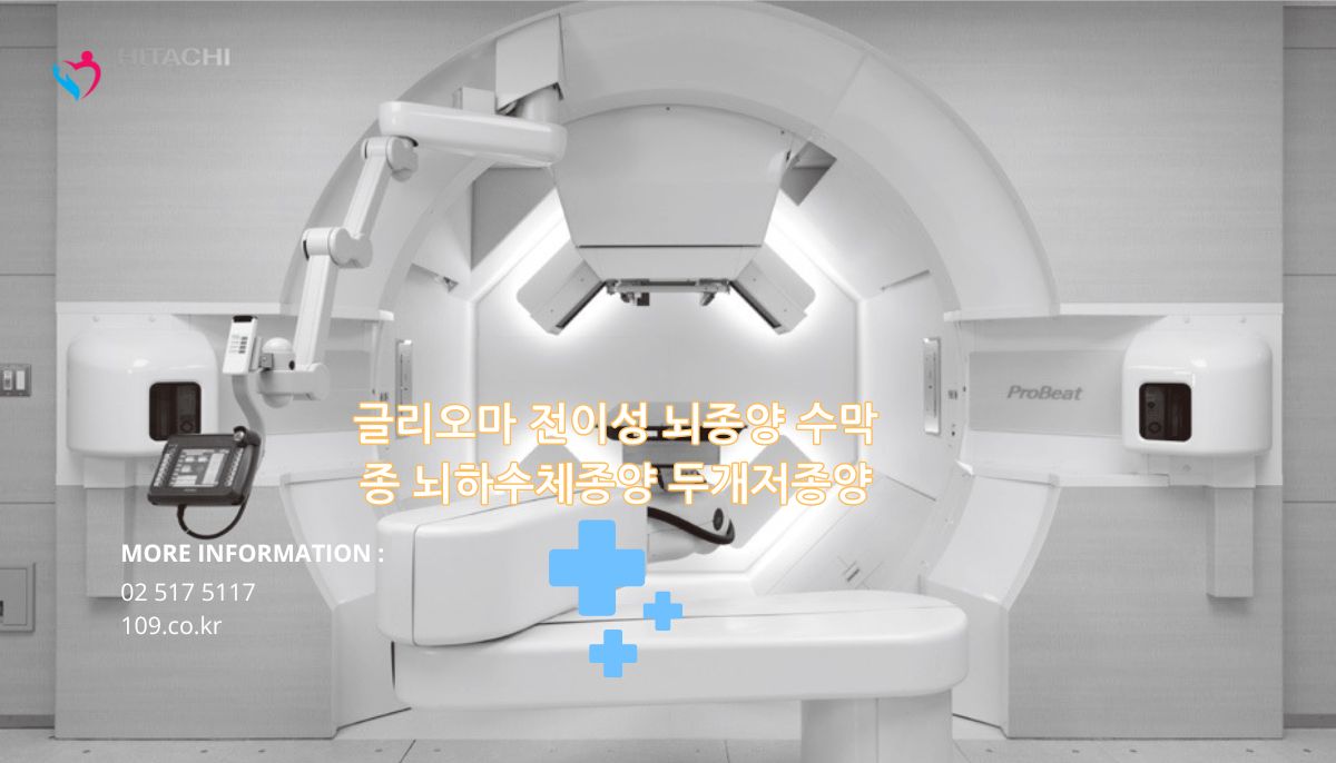 글리오마 전이성 뇌종양 수막종 뇌하수체종양 두개저종양