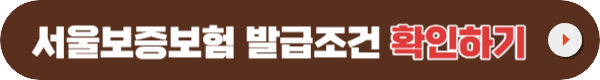 국민은행 비상금대출