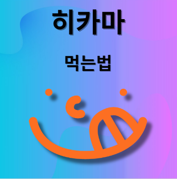 히카마 먹는법
