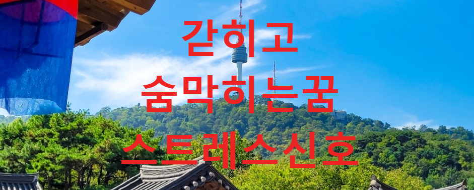 꿈과건강