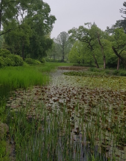 서울 지하철 근교 숲길 트레킹 코스 추천 TOP 5