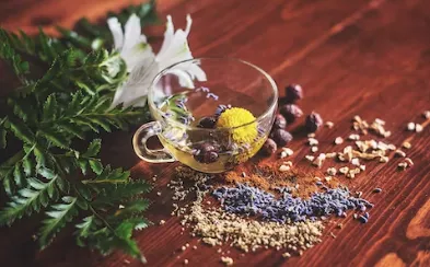 민들레 차의 효능