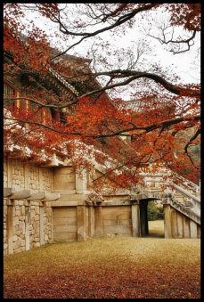 2023 단풍 절정 시기 및 단풍 명소 알아보기