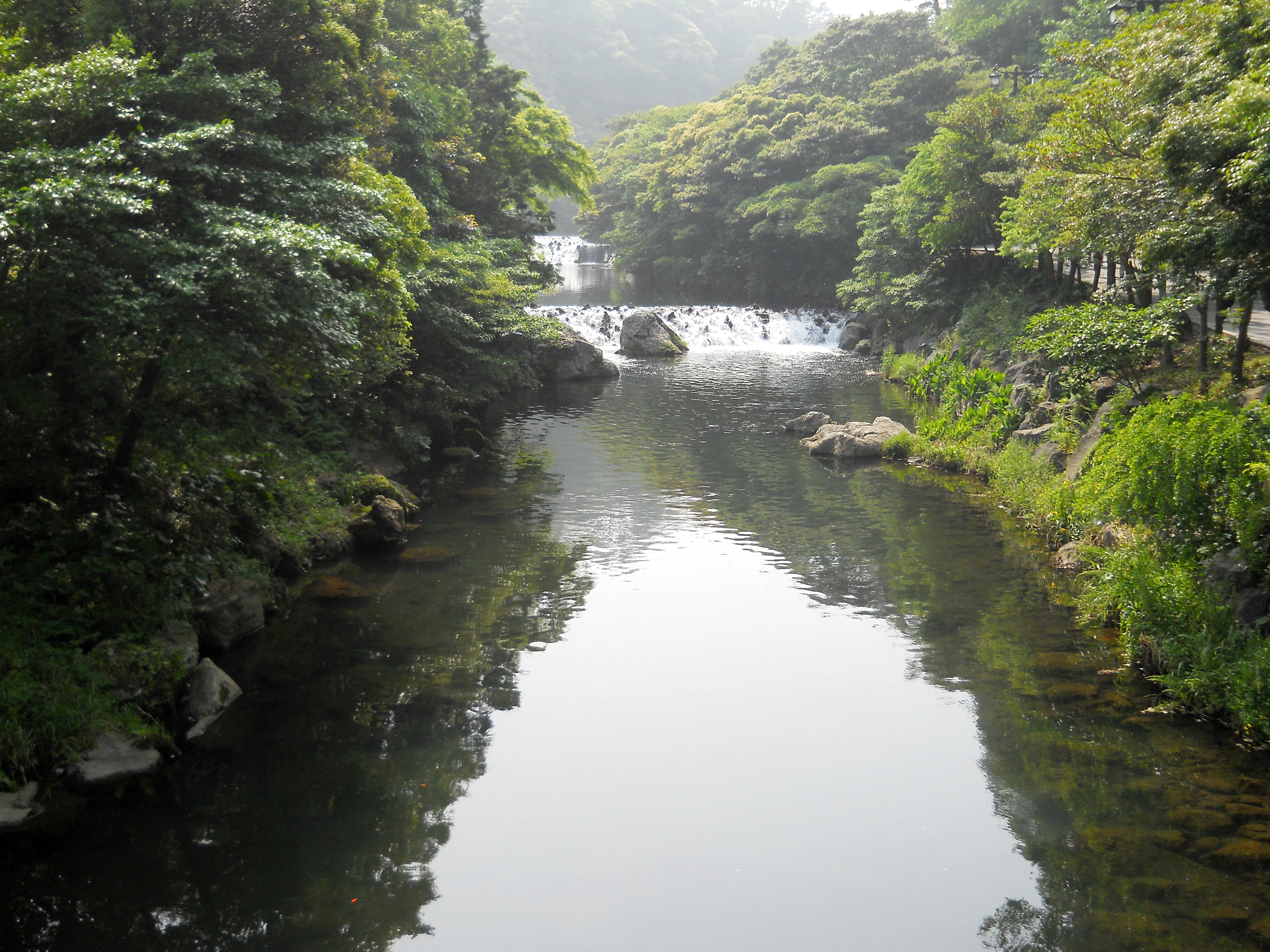 천지연폭포(Cheonjiyeon Pokpo Falls)