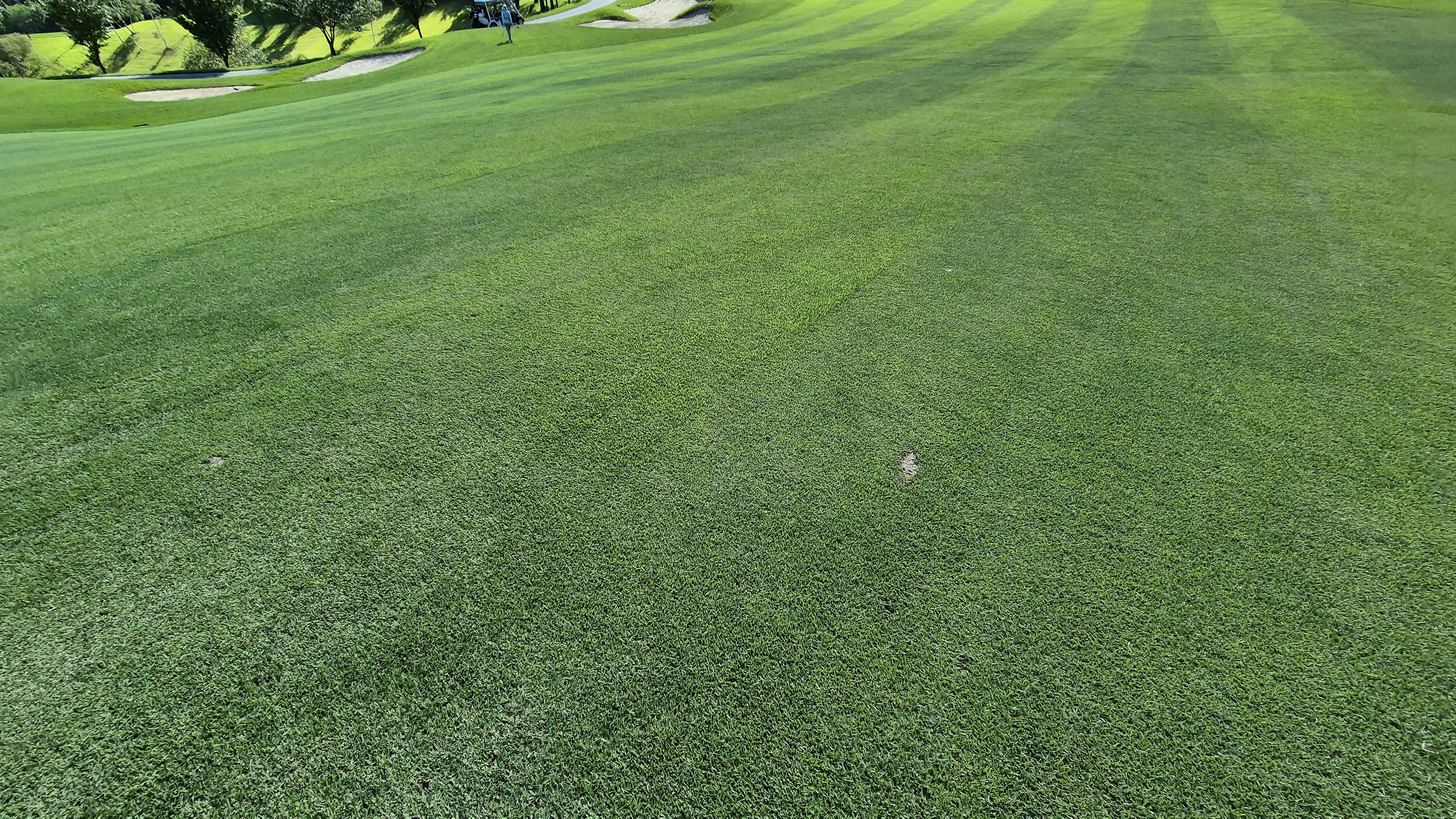 SG 아름다운cc 라운드 후기