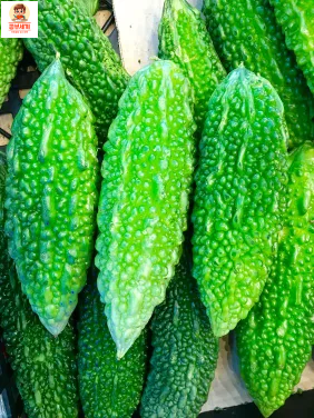 여주 효능 6가지 여주 분말 여주차 여주 먹는법 여주 피클