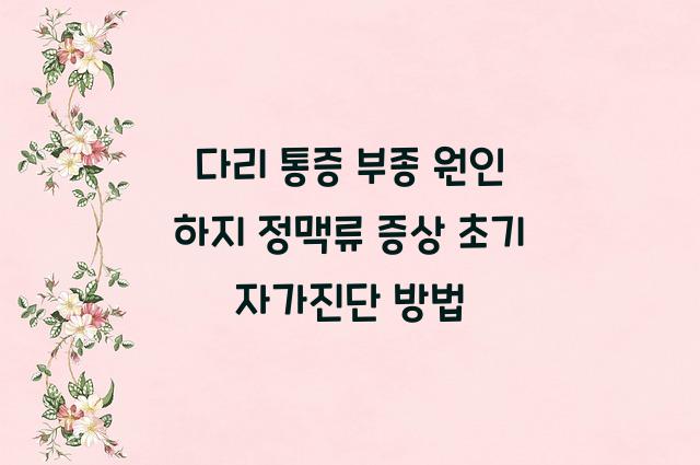 하지 정맥류 증상