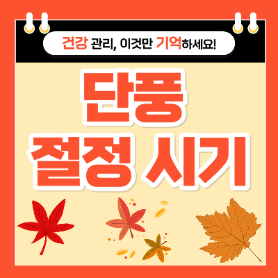 단풍 절정 시기