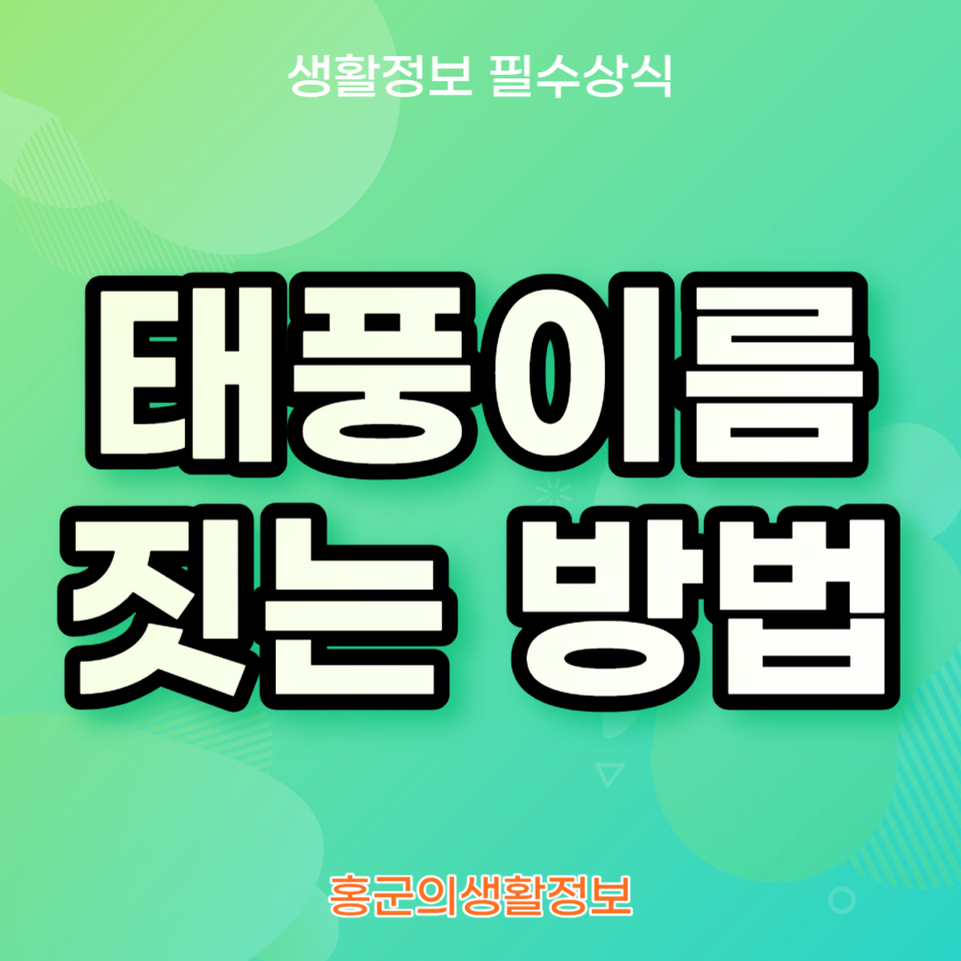 태풍이름짓는방법