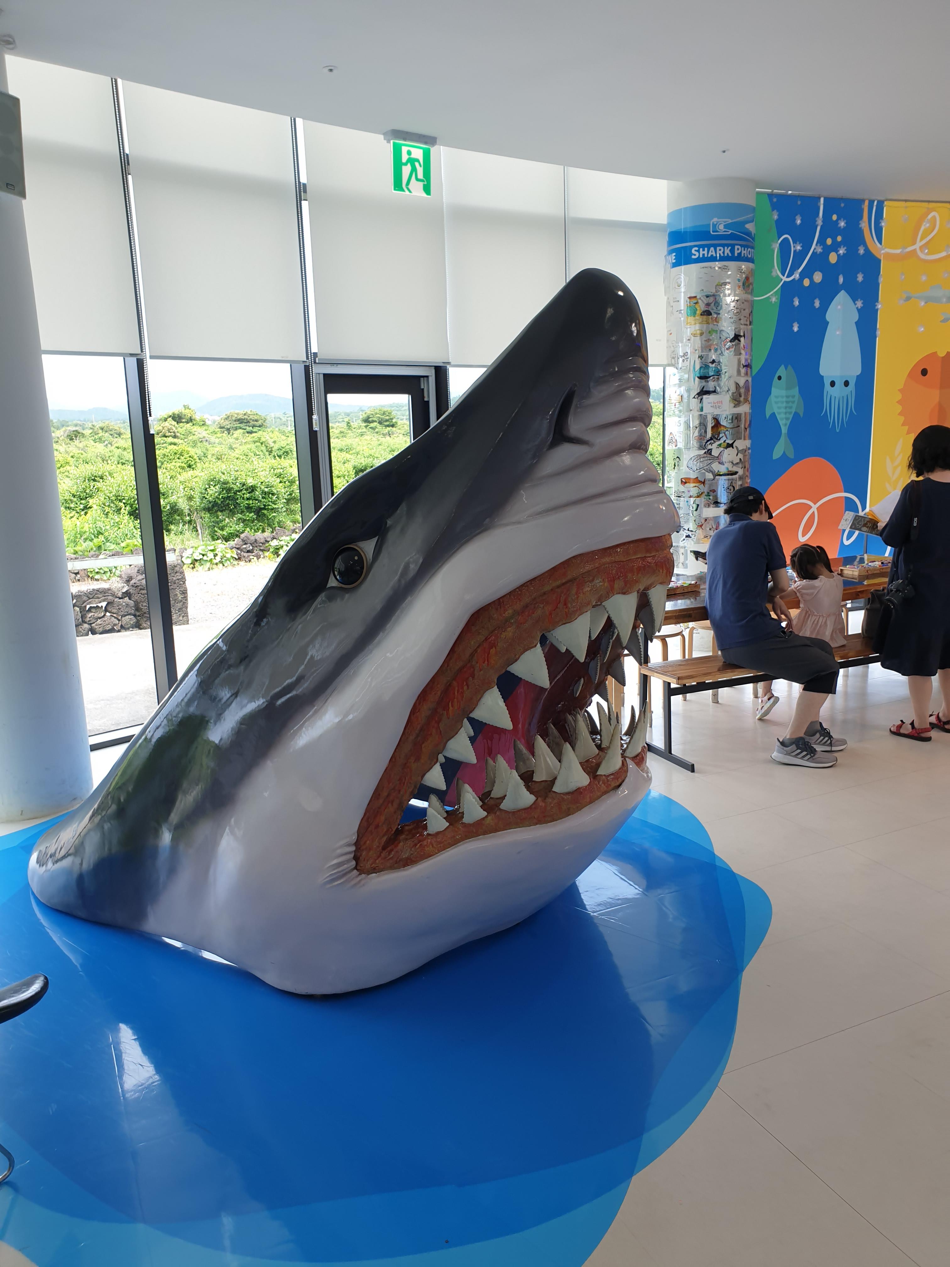 아이와 제주도 여행