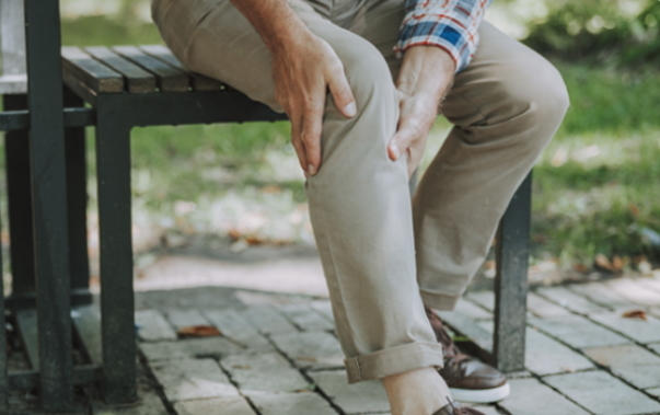 락토페린 다이어트 효능 (내돈내산 후기)