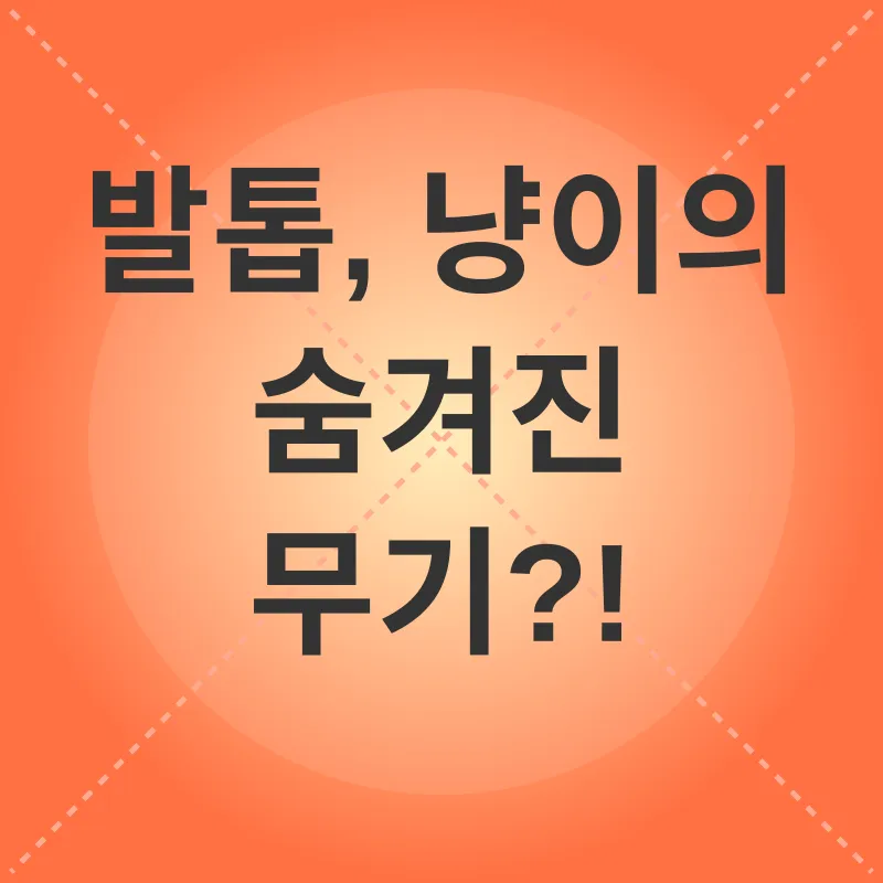 고양이 발톱 관리_1