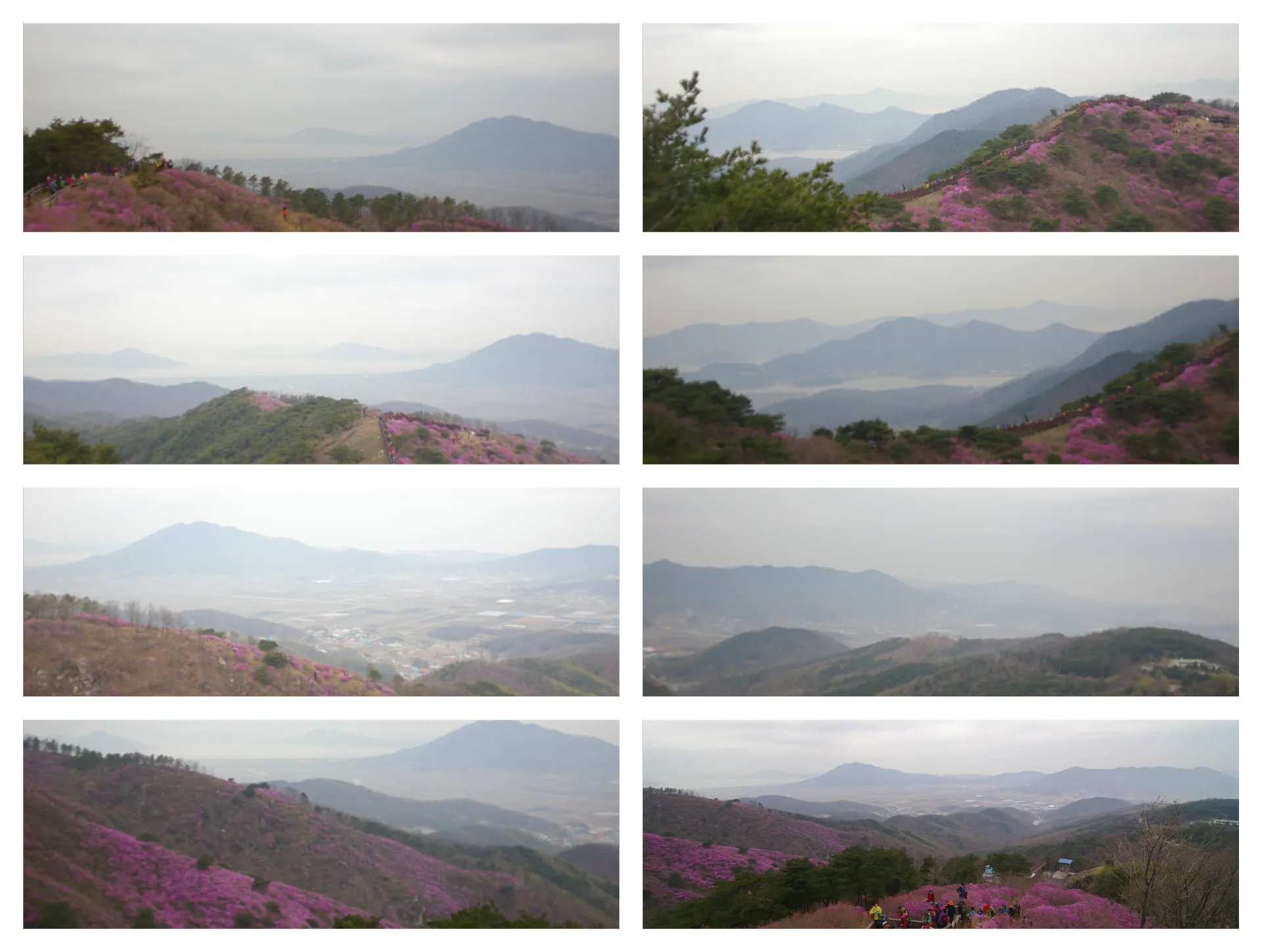 봄 고려산