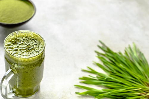 새싹보리 효능 다이어트