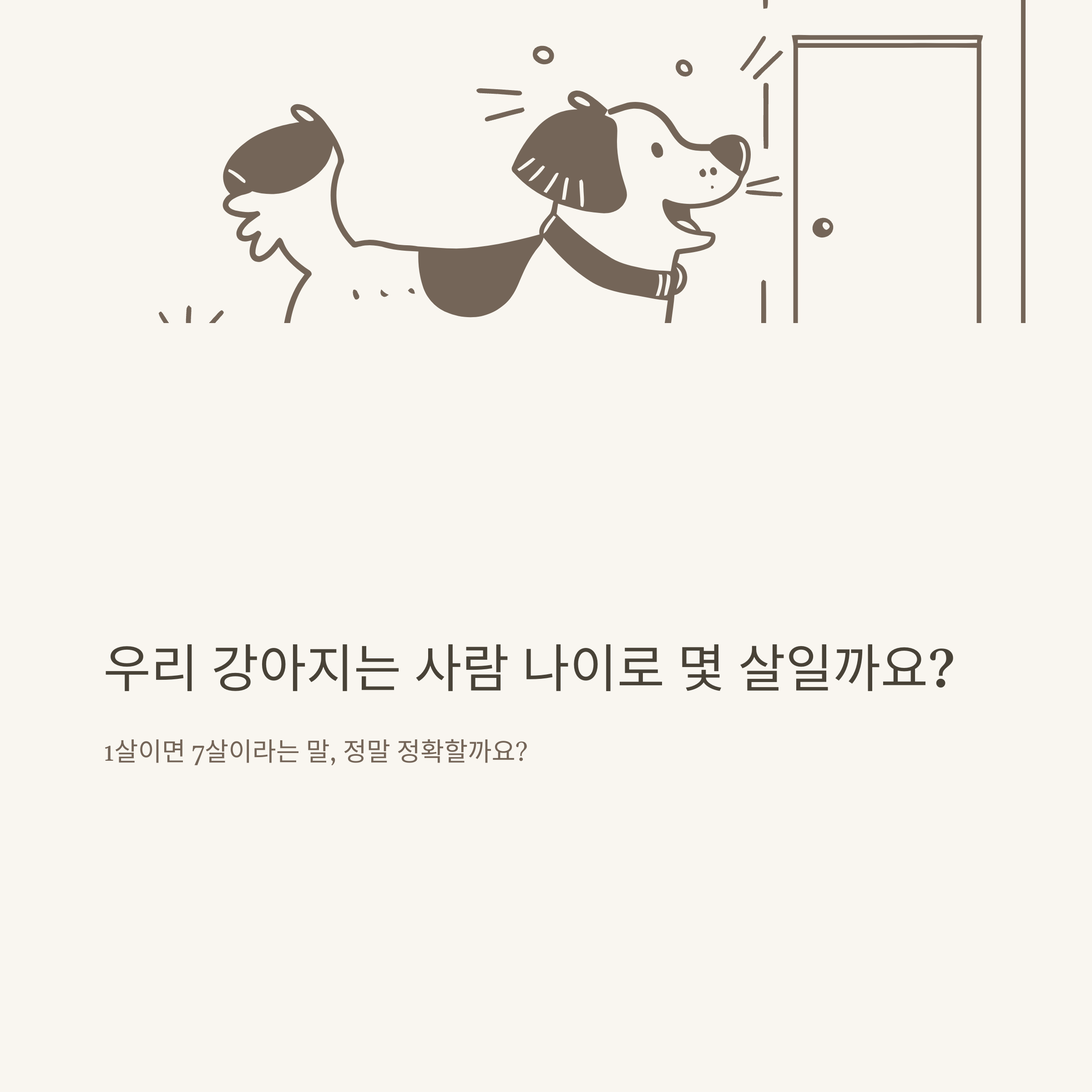 강아지 나이 계산기 실사용법부터 반려견 나이 환산, 소형견·대형견 차이까지 완벽정리