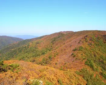 주왕산 국립공원 단풍_25