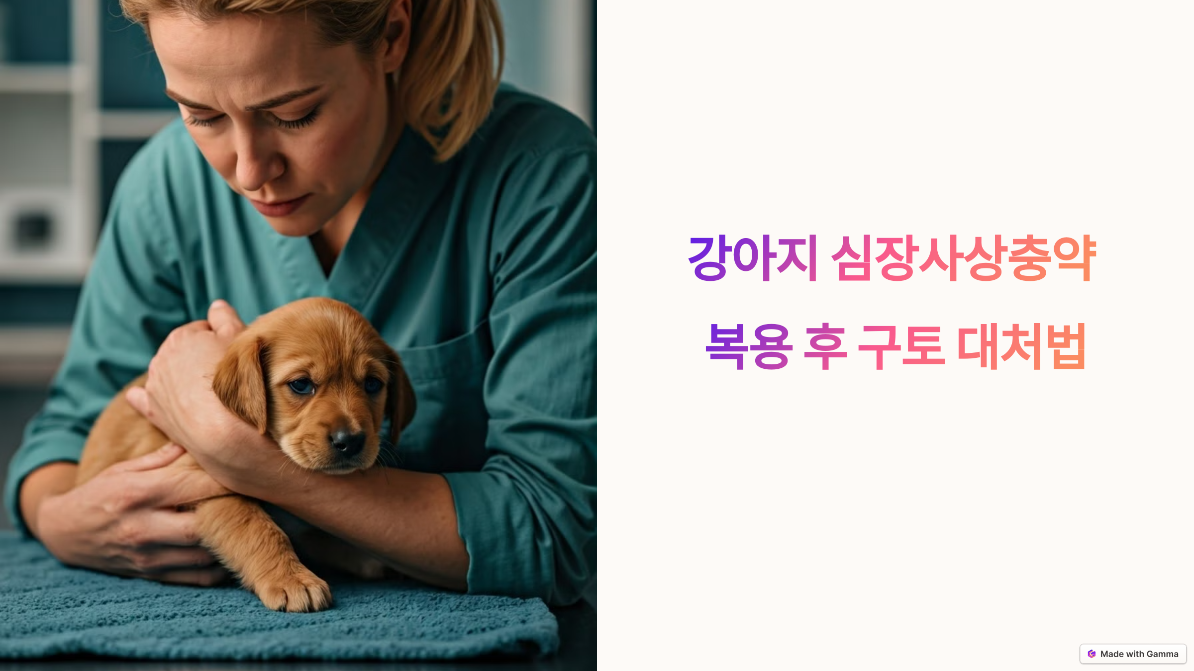 강아지 심장사상충