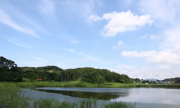 충남 가볼만한 곳 베스트10