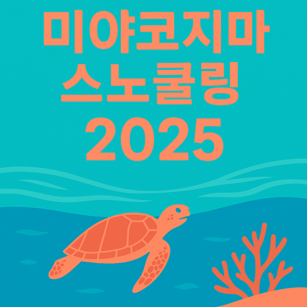 미야코지마 스노쿨링 명소 TOP3: 아라구스쿠비치 vs 거북이 스팟 비교