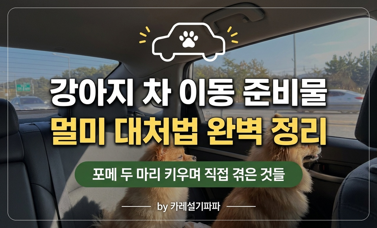 포메 드라이브 썸네일
