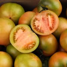 대저 토마토 관련사진