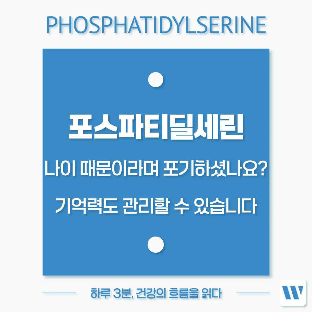 포스파티딜세린 효능 복용법 기억력 관리