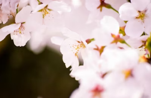 수성못 벚꽃길 산책 후 필수 코스! 조용하고 감성 가득한 핸드드립 커피 맛집 추천