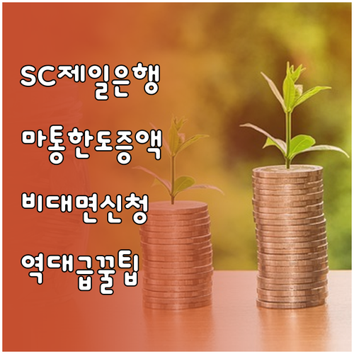SC제일은행 마이너스통장 한도 증액 ..
