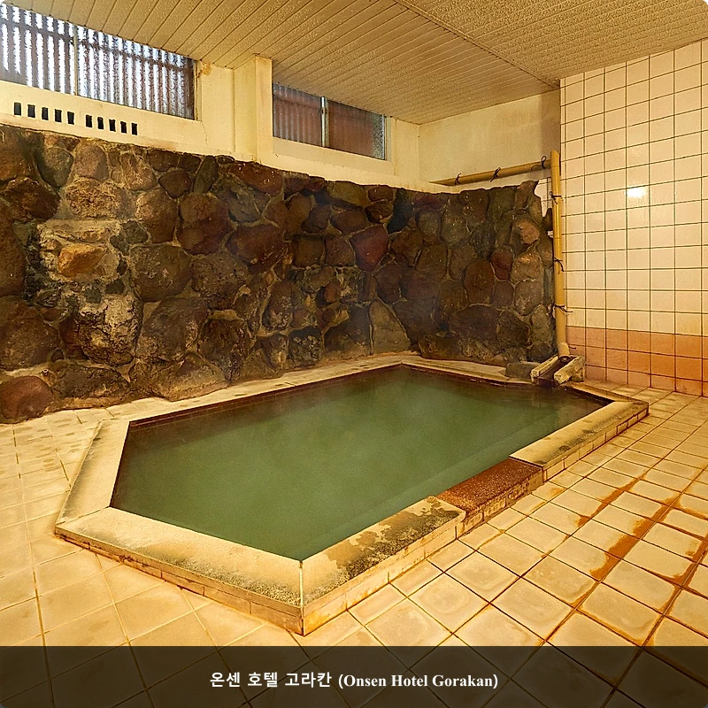 온센 호텔 고라칸 (Onsen Hotel Gorakan)_5