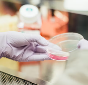 운전면허 신체검사 지정병원&amp;#44; 비용&amp;#44; 항목&amp;#44; 시력&amp;#44; 유효기간