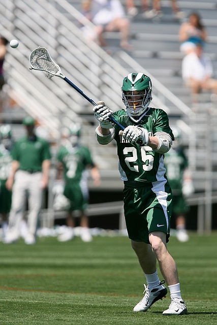 라크로스(Lacrosse): 북미 원주민의 전통 스포츠