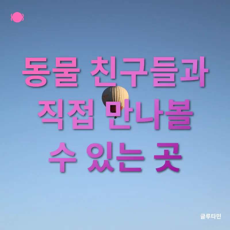 동물 교감 체험_1