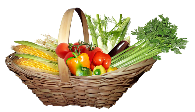 다이어트 보조제 순위 최신 정보 21