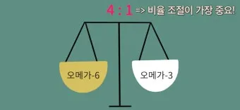 뇌건강 오메가3 DHA EP A 비율 최적화 치매 예방 완벽 가이드로 섭취비법_16