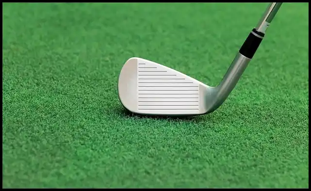 파크골프 용어 정리 (+ 해설 )