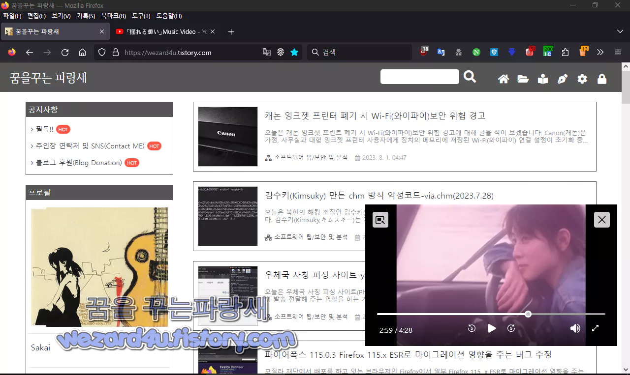 파이어폭스 116 Picture-in-Picture