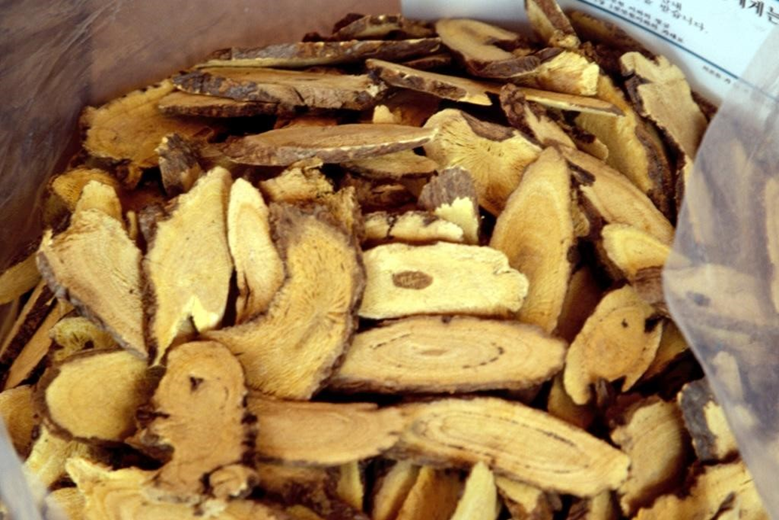 식중독 증상 및 치료방법