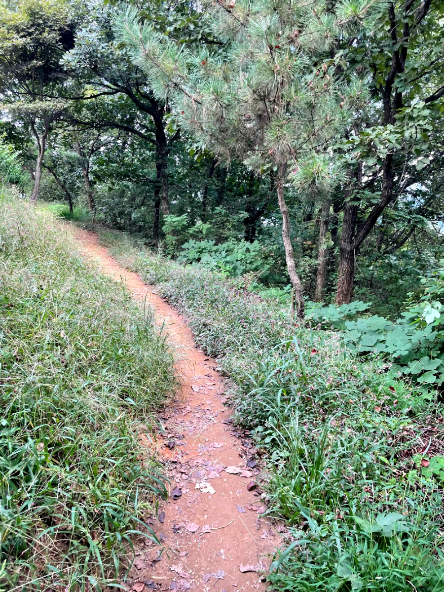 광명 구름산 가을산행 코스