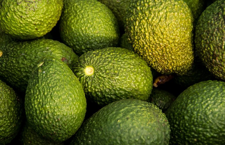 아보카도 효능｜종류｜제철｜아보카도 보관방법｜손질 방법｜먹는 방법