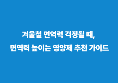 겨울철 면역력 걱정될 때, 면역력 높이는 영양제 추천 가이드