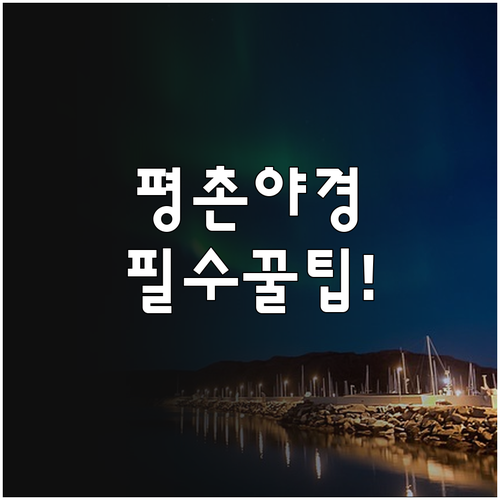 평촌중앙공원 야경과 안양천 산책로 겨..