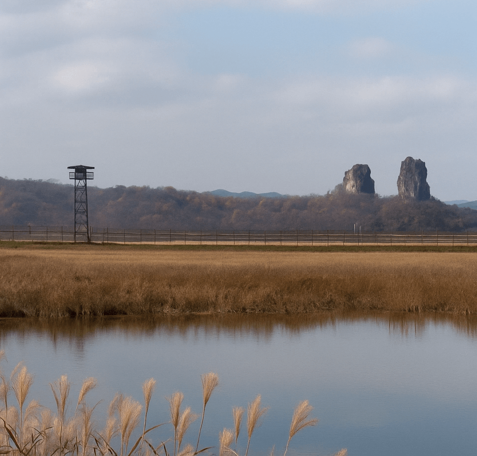 철원 DMZ 여행, 분단의 땅에서 만나는 자연과 평화의 공존