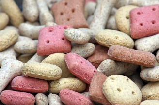 다양한 모양의 강아지 간식