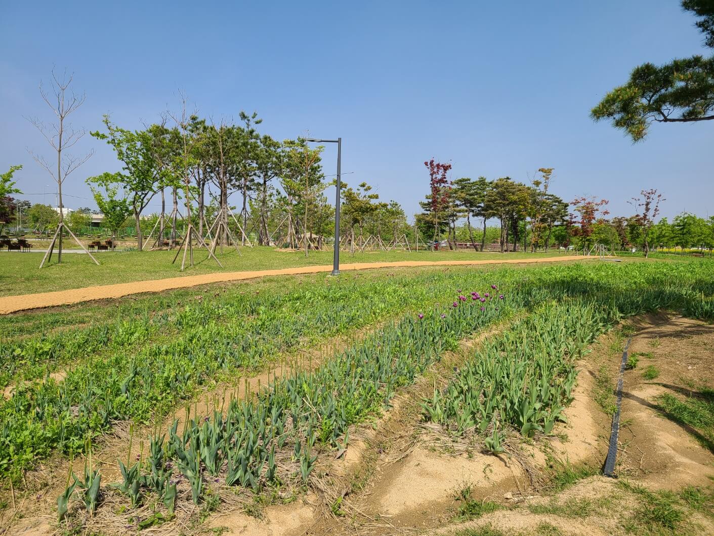 평택 농업 생태원 내부 2