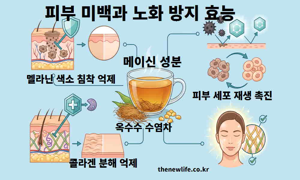 옥수수수염차 효능 피부 미백 노화 방지