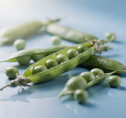 고지혈증에 좋은 음식