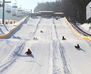 용평리조트 눈썰매장