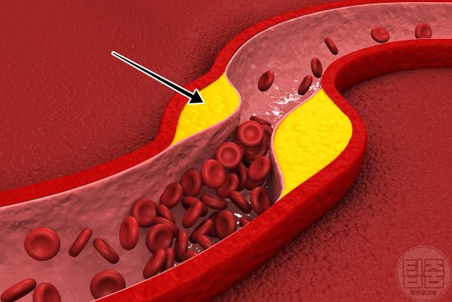 보리차의 효능,건강 팁줌