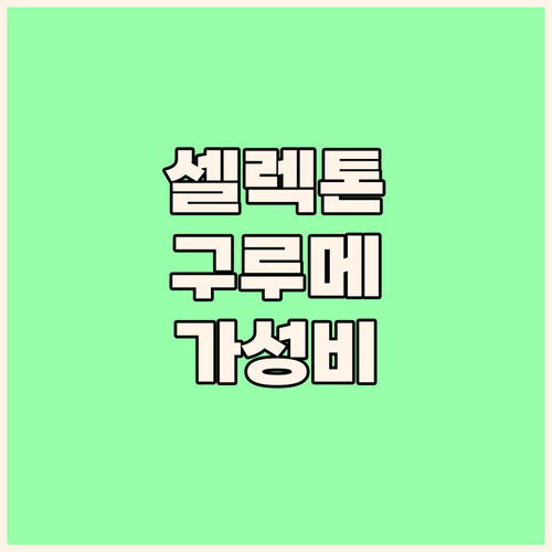 더 셀렉톤 구루메 후기 가성비 숙소 ..